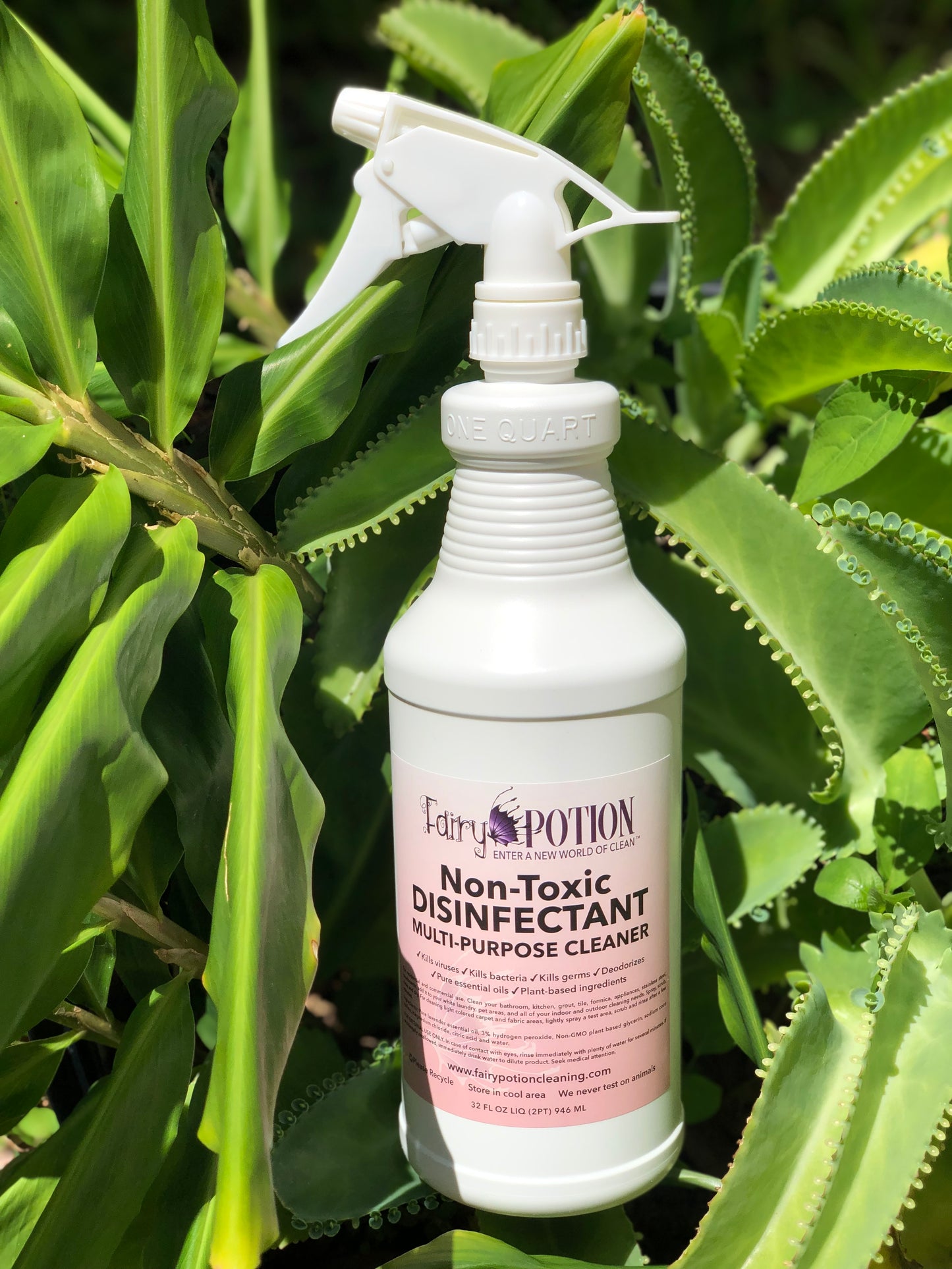 Non-Toxic Multipurpose Cleaner