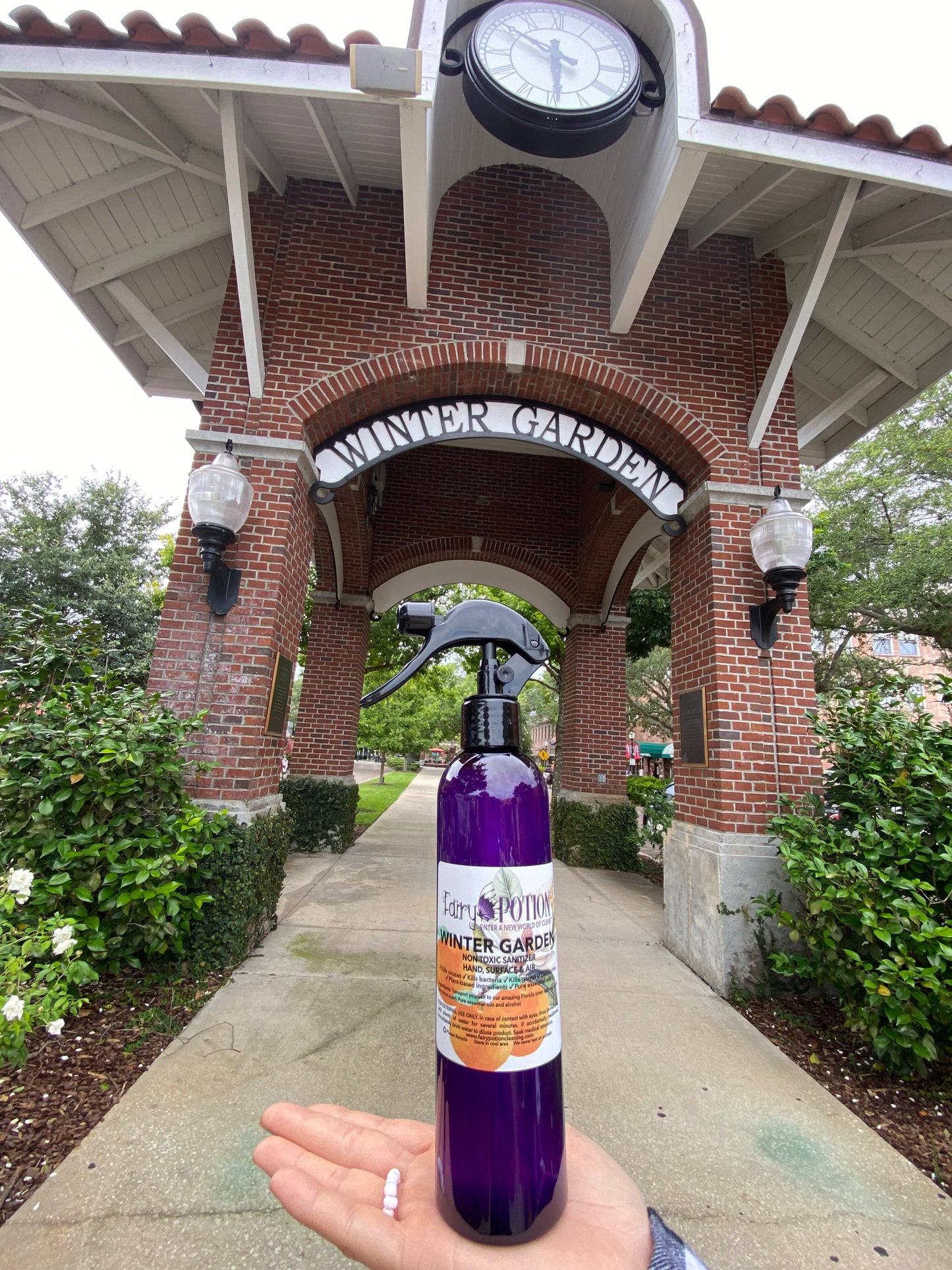 Non-toxic Winter Garden sanitizer and deodorizer