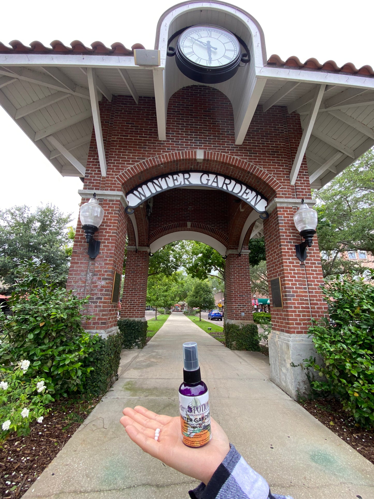 Non-toxic Winter Garden sanitizer and deodorizer